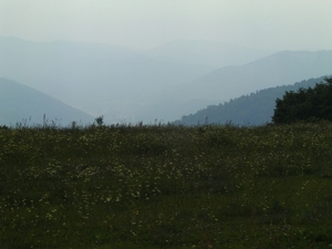 minitrip2011-108