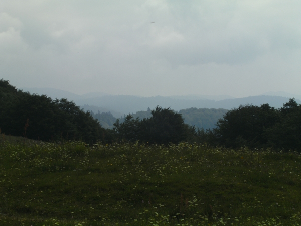 minitrip2011-109