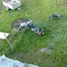 minitrip2011-115