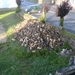 minitrip2011-117