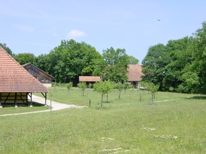 minitrip2011-135