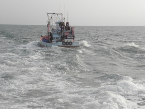 PB060893