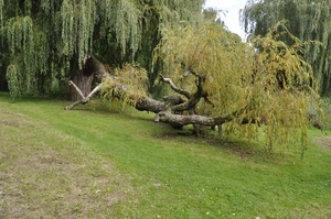 _DSC0069 park 800x
