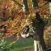 IMG_0049 park 800x