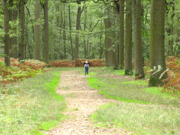 Onze gids...Joey