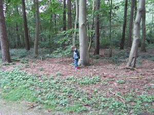 Joey in het bos