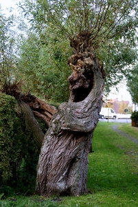 Oostkerke