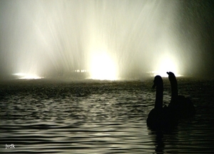 Astridpark Brugge