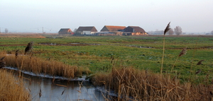 Acterhaven Zeebrugge