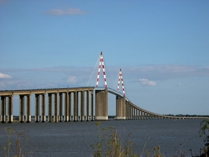 Burd over de Loire in St Nazaire