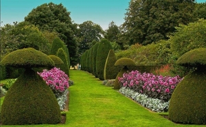 Tuin in fde Dordonge
