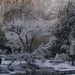 Winter 2009