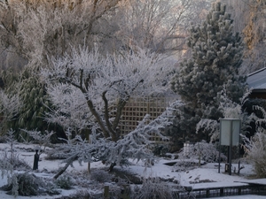 Winter 2009