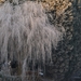 Winter 2009