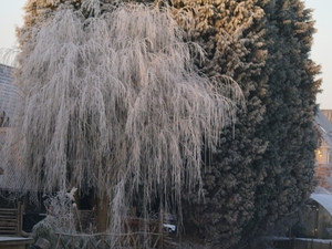 Winter 2009