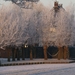 Winter 2009