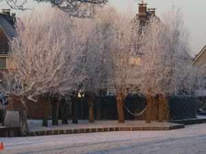 Winter 2009