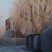 Winter 2009