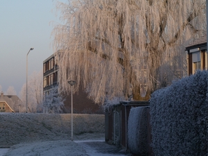Winter 2009