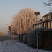 Winter Achter de Potgieterstraat