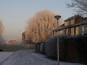 Winter Achter de Potgieterstraat