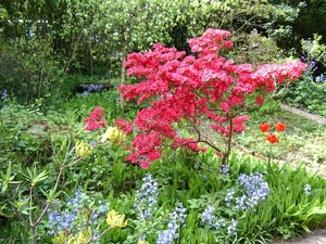 1ste communie ANISA 01 mei 2008 008