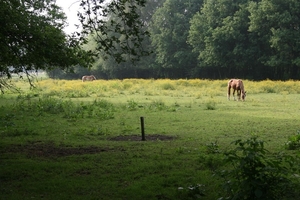 11-05-20 Voorber. fietstocht 04