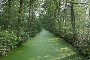 11-05-20 Voorber. fietstocht 07