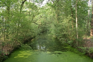 11-05-20 Voorber. fietstocht 08