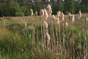11-05-20 Voorber. fietstocht 22