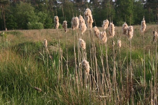 11-05-20 Voorber. fietstocht 22