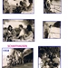 BODENSEE-&-SWISS-1 9 5 8