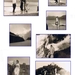 BODENSEE---------TIROL-1 9 5 8 (2)