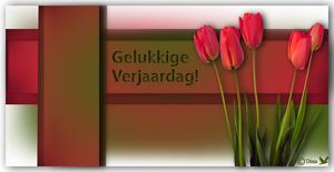 Wenskaart tulpen