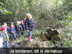 BILD4831
