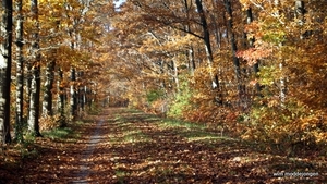 DSC06040