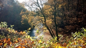 DSC06048
