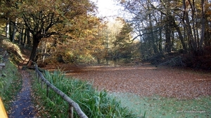 DSC06052