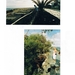 Gran Canarias-Las Palmas-1980 (1)