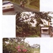 GRENADA-TOBAGO-JANUARI.----1983 (31)