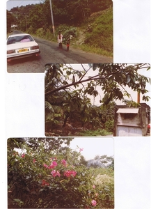 GRENADA-TOBAGO-JANUARI.----1983 (31)