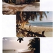 BARBADOS---Februari.-------1983 (4)