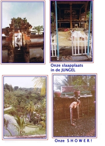 INDONESIA----1984 (10)