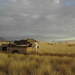 Onze Jeep