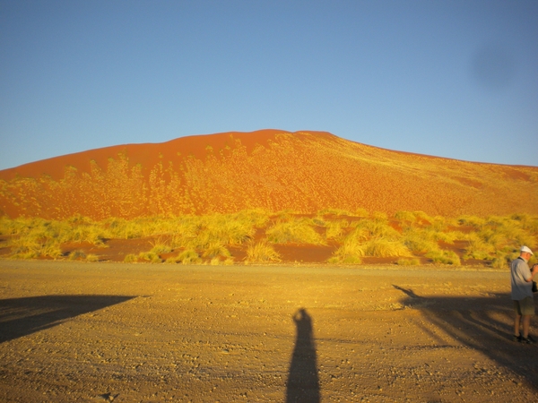 Namibi