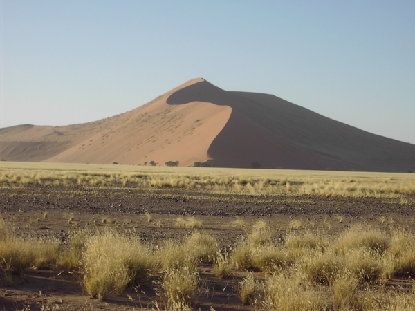 Namibi