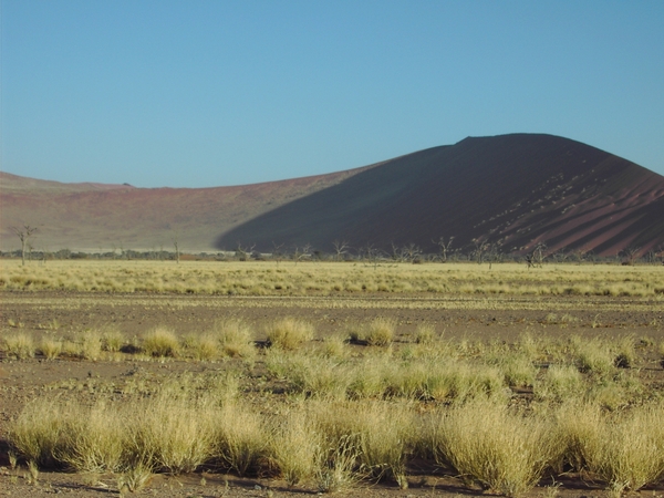 Namibi