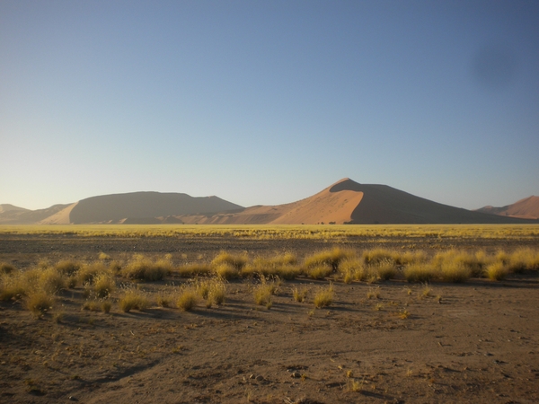 Namibi