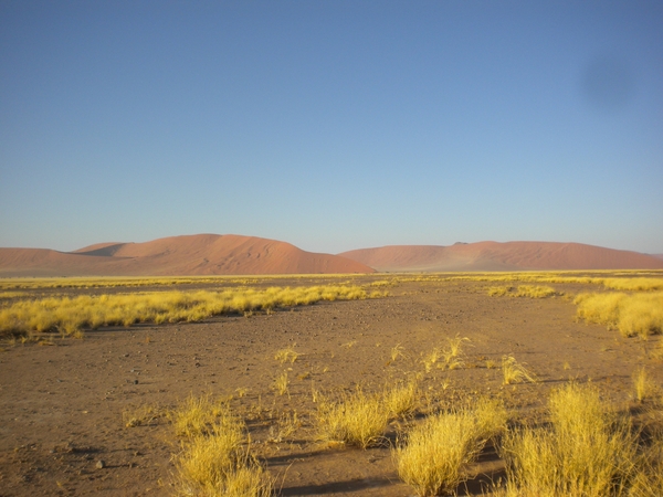 Namibi