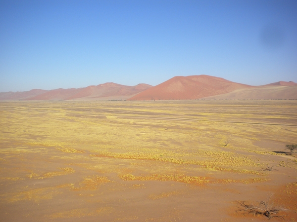 Namibi